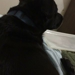 Meet your Posher, Ruby